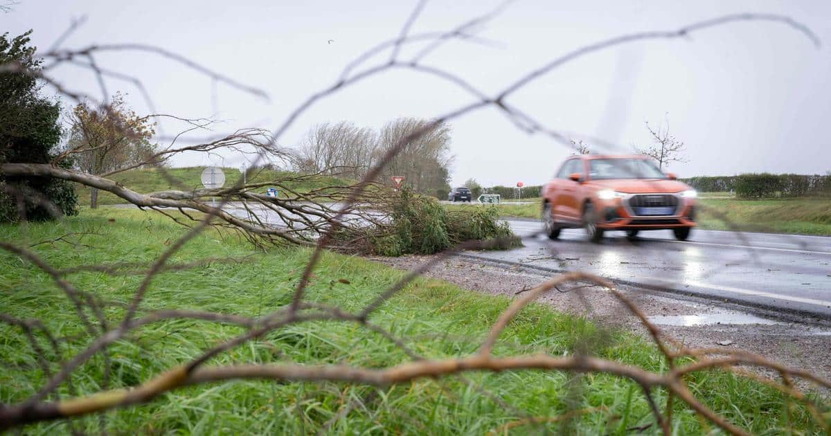 , Tempête Ciaran : un motard grièvement blessé après avoir percuté un arbre tombé sur la route en Loire-Atlantique